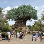 REMINDER: Passholder Previews Are Happening TODAY For Disney’s Newest Attraction