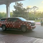 Can You Take A MINNIE VAN™ From The Airport To Your Disney World Resort?