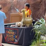 You Can View The SAVANNAS Without Needing A Passport (Or Park Ticket)