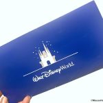 These MAGICAL Extras Make Your Next Disney World Vacation Extra Memorable