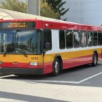 How To TRACK Disney World Buses Using the My Disney Experience App