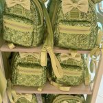 Don’t Forget To Add These 100% NECESSARY Items To Your Disney Park Bag