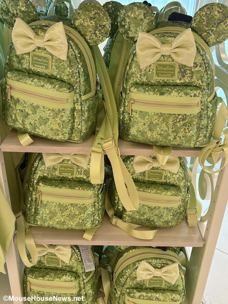 Don’t Forget To Add These 100% NECESSARY Items To Your Disney Park Bag