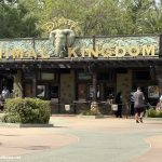 Disney’s Animal Kingdom: Your Ultimate 2026 Guide To The FUN