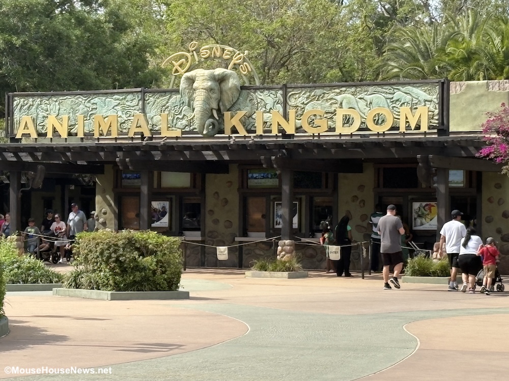 Disney’s Animal Kingdom: Your Ultimate 2026 Guide To The FUN