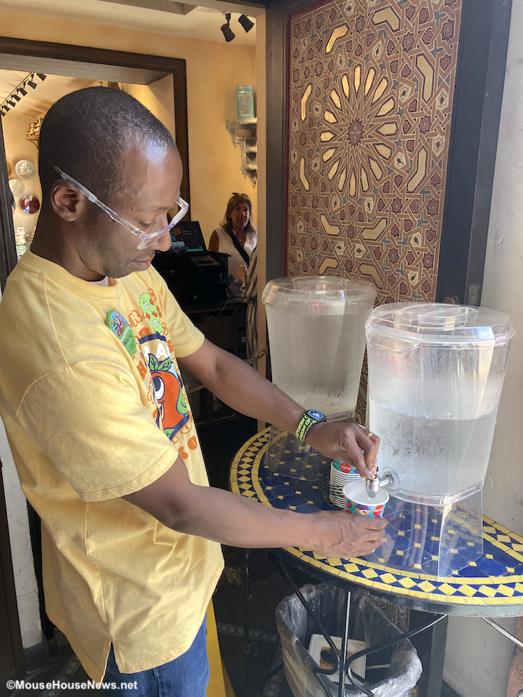 Stay Hydrated During The Summer With FREE Ice Water At Walt Disney World