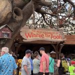 Disney World Attraction STANDBY Wait Times Explained
