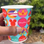 Disney World Summer SURVIVAL Guide: Beat The Sun, Heat, Storms, And Crowds
