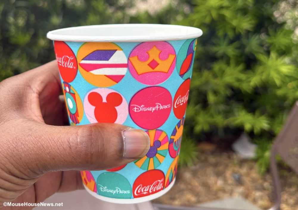 Disney World Summer SURVIVAL Guide: Beat The Sun, Heat, Storms, And Crowds